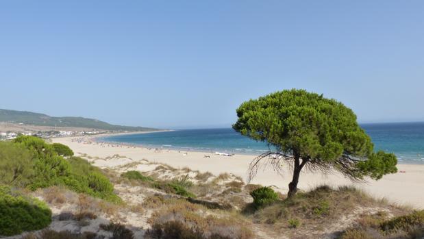 Playa de Bolonia